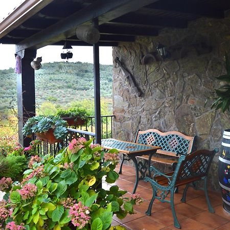 Casa Rural Los Olivos Sotoserrano Eksteriør bilde