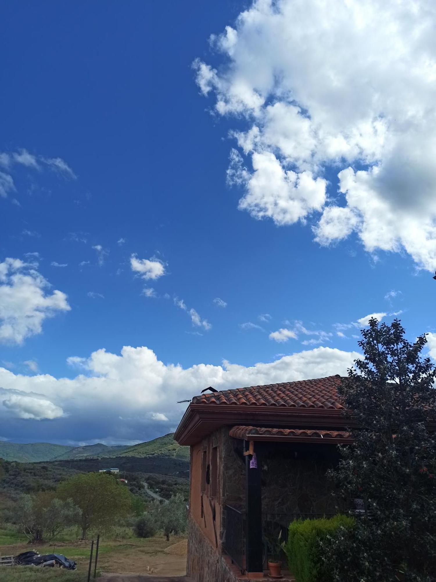 Casa Rural Los Olivos Sotoserrano Eksteriør bilde