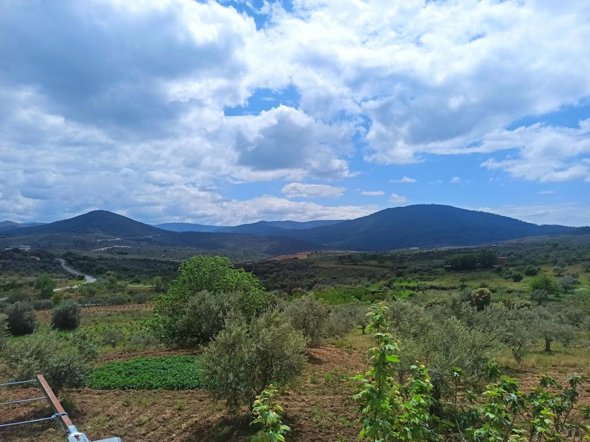 Casa Rural Los Olivos Sotoserrano Eksteriør bilde